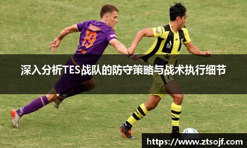 深入分析TES战队的防守策略与战术执行细节