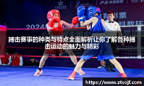 搏击赛事的种类与特点全面解析让你了解各种搏击运动的魅力与精彩