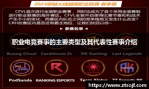 职业电竞赛事的主要类型及其代表性赛事介绍