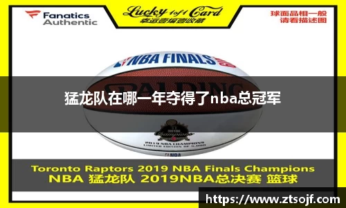 猛龙队在哪一年夺得了nba总冠军