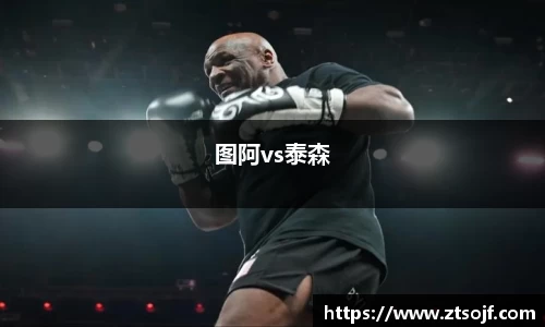 图阿vs泰森