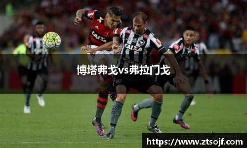 博塔弗戈vs弗拉门戈