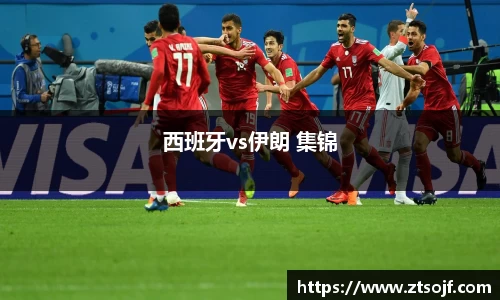 西班牙vs伊朗 集锦