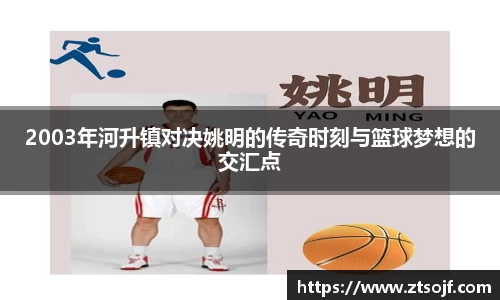 2003年河升镇对决姚明的传奇时刻与篮球梦想的交汇点