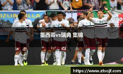 墨西哥vs瑞典 集锦