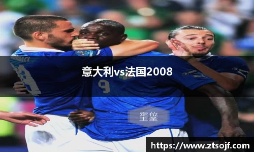 意大利vs法国2008
