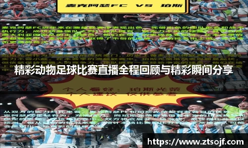 精彩动物足球比赛直播全程回顾与精彩瞬间分享