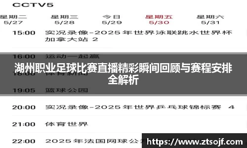 湖州职业足球比赛直播精彩瞬间回顾与赛程安排全解析