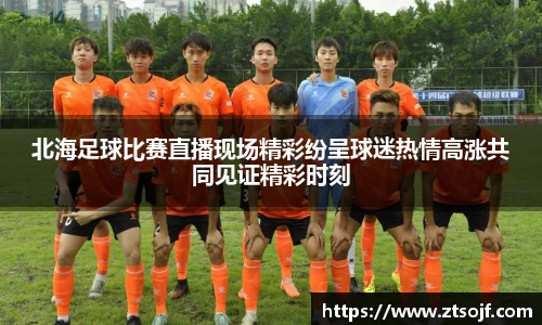 kk体育官网入口