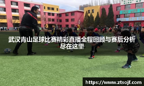 武汉青山足球比赛精彩直播全程回顾与赛后分析尽在这里