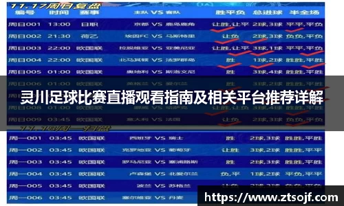 灵川足球比赛直播观看指南及相关平台推荐详解