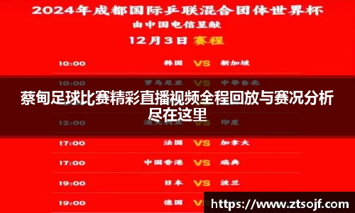 蔡甸足球比赛精彩直播视频全程回放与赛况分析尽在这里