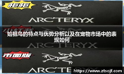 始祖鸟的特点与优势分析以及在宠物市场中的表现如何