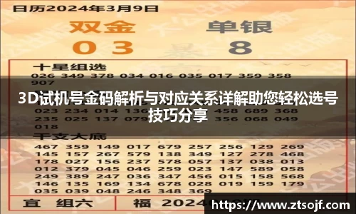 3D试机号金码解析与对应关系详解助您轻松选号技巧分享