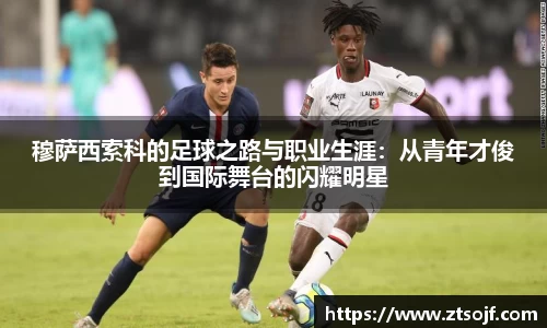 穆萨西索科的足球之路与职业生涯：从青年才俊到国际舞台的闪耀明星