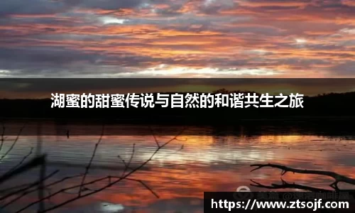 湖蜜的甜蜜传说与自然的和谐共生之旅