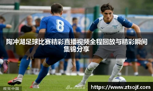 陶冲湖足球比赛精彩直播视频全程回放与精彩瞬间集锦分享