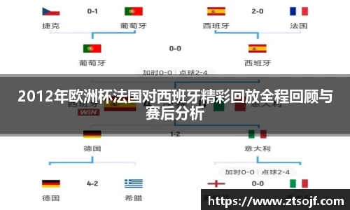 2012年欧洲杯法国对西班牙精彩回放全程回顾与赛后分析